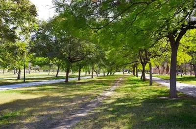 a path in a park with trees and grass at Stylish apartment near Old town & Turia park in Valencia