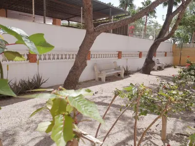 a patio with two trees and a chair at Malvarrosa, 8-54 in Cullera
