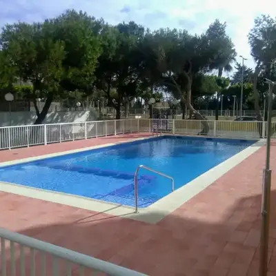 Malvarrosa