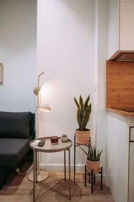a living room with a table and potted plants at Nuevo y acogedor loft en Amistat in Valencia