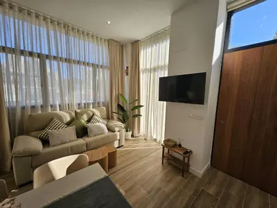 a living room with a couch and a flat screen tv at HOB Las Ciencias Terrace II in Valencia