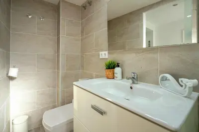 a bathroom with a sink and a toilet at Apto 2 P Ferrandis in Valencia