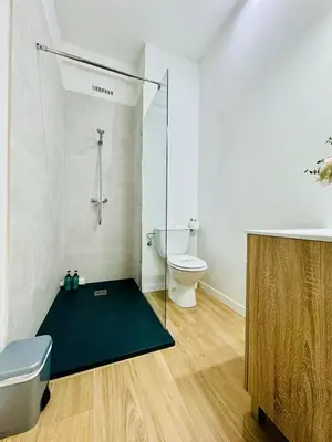 a bathroom with a toilet and a glass shower stall at ORI B Nice & Spacious Flat Close to the Center in Valencia