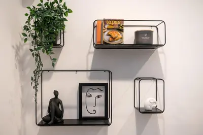 a wall with two shelves and a plant on it at Green Luxury Zamenhof in Valencia