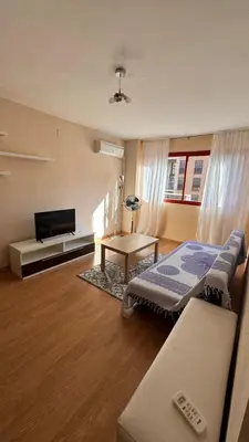 a living room with a bed and a television at Ciudad de las Artes y Arena Roig apartmento in Valencia