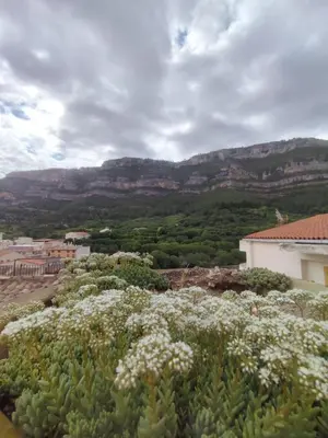 a garden with white flowers and mountains in the background at Apartamento Rústico in Cortez de Pallas