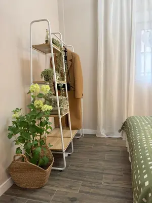 a room with a rack with potted plants on it at Urban Soul Studio in Valencia