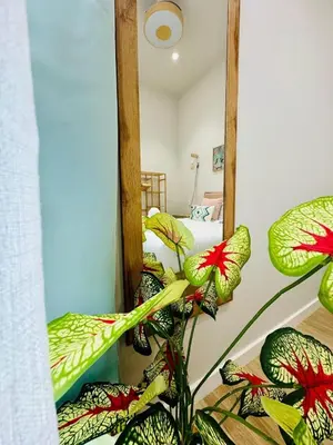 a bedroom with a mirror and a plant at Bright & Stylish Flat Close To Center in Valencia