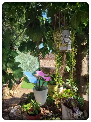 a garden with two chairs and plants and a sign at Casa Maibeca in Bolbaite