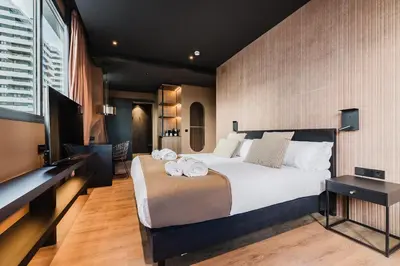 a bedroom with a large bed and a television at Hotel Arena Select in Valencia