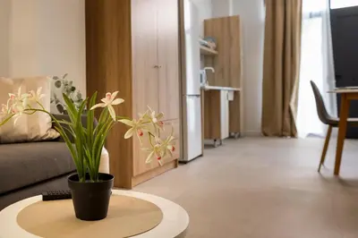 a living room with a potted plant on a table at RM1 - Loft Valencia cómodos estudios dúplex cerca a la Avenida del Puerto in Valencia