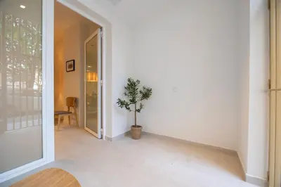 a hallway with a potted plant next to a door at PM - Loft Valencia Espaciosos estudios con terraza cerca a las Artes y las Ciencias in Valencia