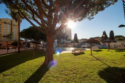 a tree in a park with the sun behind it at Global Vacacional, Acogedor apartamento en Canet de Berenguer in Canet de Berenguer