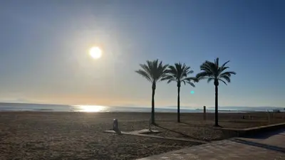 a painting of palm trees and the ocean at sunset at Cullera Marisa in Cullera