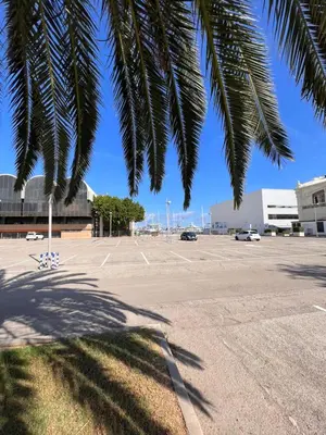 a parking lot with a palm tree in the foreground at Valencia Aparthotel HBB in Valencia