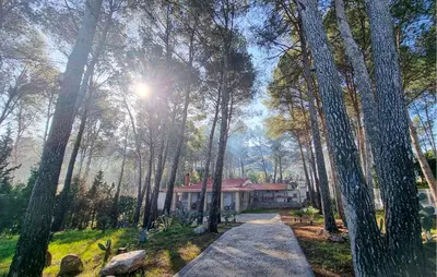 a house in the middle of a forest at Amazing Home In Macastre With Sauna in Macastre