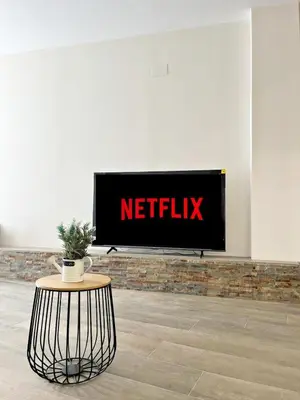 a television with a netflix sign on a wall at Encanto Rural en Requena in Requena