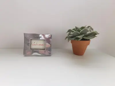 a bag of almonds next to a potted plant at More then a loft in Godella