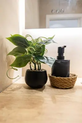 a plant sitting on a table next to a black bottle at Les Arts Turia by Concept Flats in Valencia