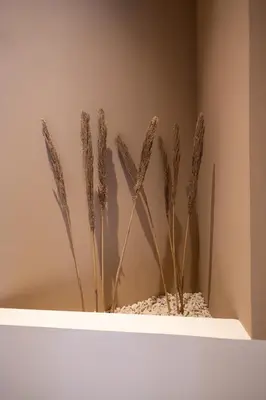 a white shelf with some dried plants in it at Abastos by Concept Flats in Valencia