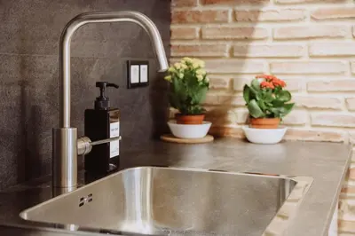 a sink in a kitchen with two potted plants at New Loft Rusafa in Valencia