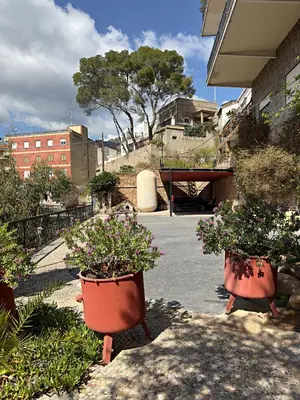 two large pots of plants in a courtyard at Cau de Serra 