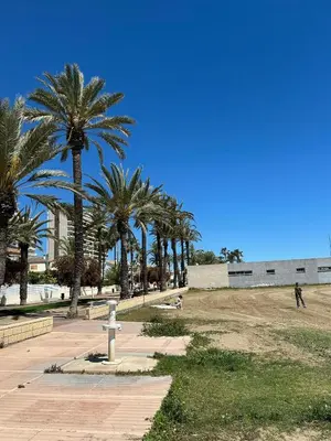 a park with palm trees and a man walking on a sidewalk at Casa con Barbacoa en Urbanización Privada in Valencia