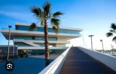 a building with two palm trees in front of it at Mestalla flats & Rut in Valencia
