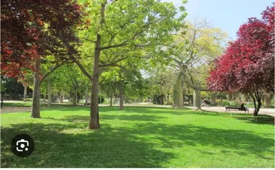 a park with trees and a bench in the grass at Mestalla flats & Rut in Valencia