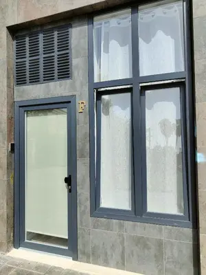 a door with two windows on a building at Las Artes Luxury Double Room in Valencia