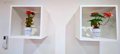two white shelves with flowers in them on a wall at Vacansis Loft Plaza del Pilar in Valencia