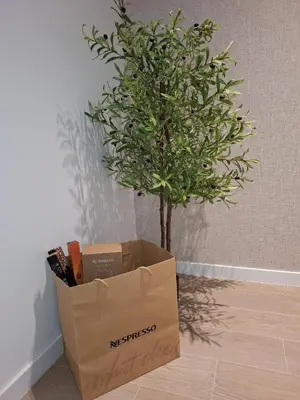 a cardboard box next to a tree in a room at Cozy Retreat in Heart of Valencia Perfect for Couples n Families in Valencia