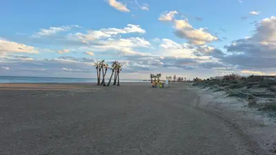 a dirt road with palm trees on the beach at CANET de BERENGUER in Canet de Berenguer
