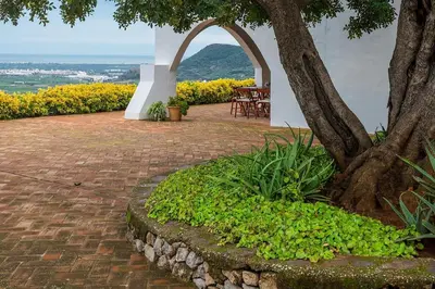a brick patio with a tree and a table at El mirador de la Sonora in Artana