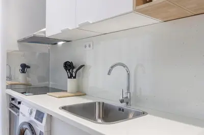 a kitchen with a stainless steel sink and a dishwasher at Apartamentos Grupo Torres de Quart in Valencia