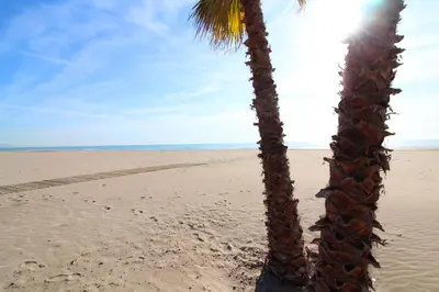 a palm tree on the beach with the sun behind it at Global Vacacional, Apartamento en primera linea con impresionantes vistas al mar in Canet de Berenguer