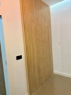 a shower in a room with a wooden door at FALLAS en el barrio del Carmen, el corazón de Valencia in Valencia