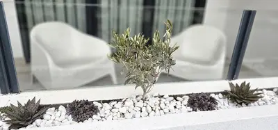 a plant in a window sill with a white chair at Vacansis Masamagrell Bajo Loft Tomas y Valiente in Masamagrell