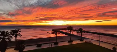 a sunset over a beach with palm trees and the ocean at Apartment with views of the Mediterranean- Little Venice in Port Saplaya