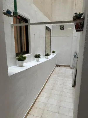 a hallway with potted plants in a building at Brisa de mar in El Perelló