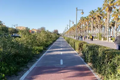 a walking path in a park with palm trees at Ca La Leni Beach 0 in Valencia