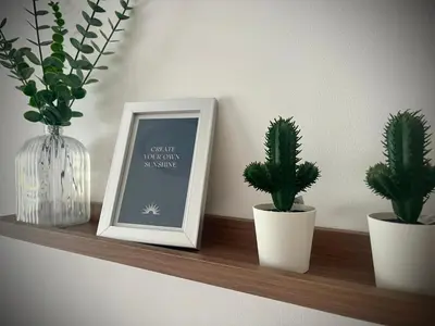 a shelf with three potted plants and a picture at Mar in Valencia