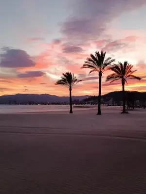 three palm trees on the beach at sunset at Cullera Playa de los Olivos Apartment in Faro de Cullera