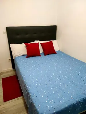 a bedroom with a bed with two red pillows at Habitacion cerca a Ciudad de las Artes y las Ciencias in Valencia