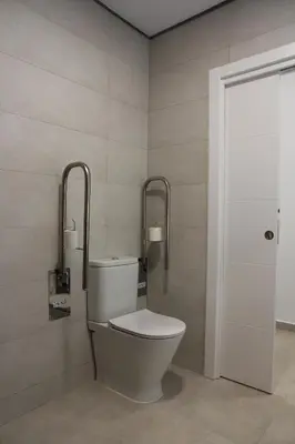 a bathroom with a toilet with two bars on the wall at A Malilla&Ruzafa in Valencia