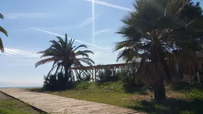 a wooden path with two palm trees on the beach at Playa Paradis III - Primera linea de playa in Moncófar
