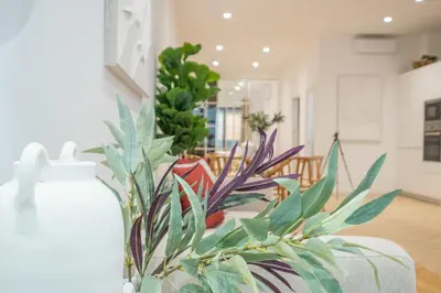 a plant sitting on a table in a room at Flats poeta serrano in Valencia