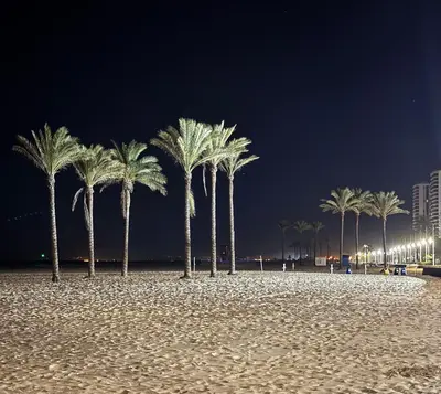 a group of palm trees on a beach at night at La Turia Soleada in Cullera