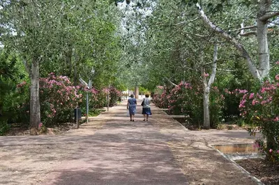 two people walking down a path in a park with flowers at Bonito apartamento en Valencia in Valencia