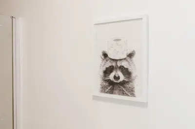 a picture of a raccoon with a hat on its head at Stylish Studio with Easy Access to Valencias Best in Valencia